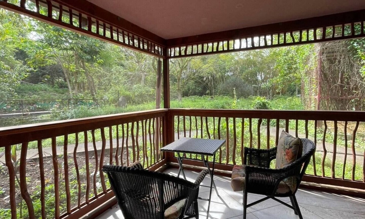 Honalo House | Amidst Bamboo Jungle Retreat