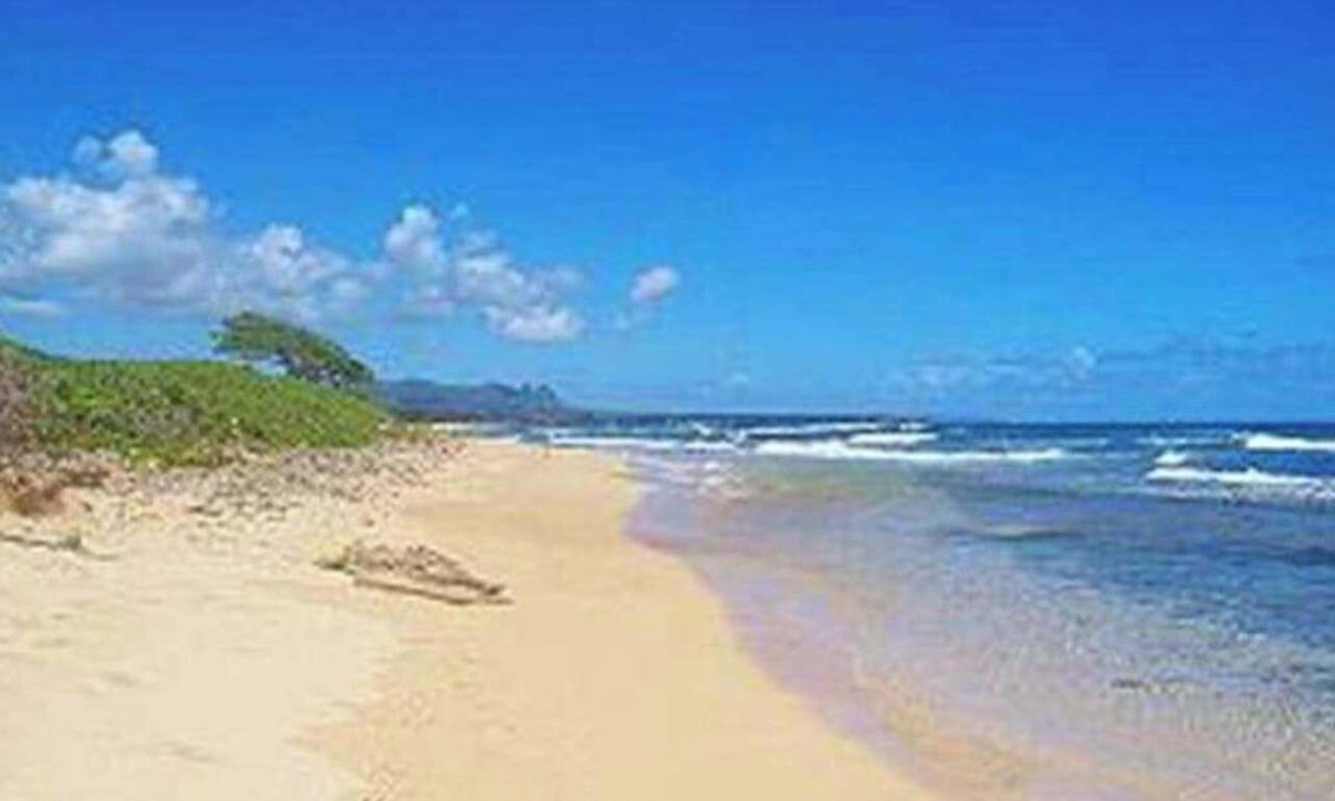 Hanamaulu Apartment | August Sale! Ocean-View Lihue Resort Condo with Pools, Gym & Spa Access
