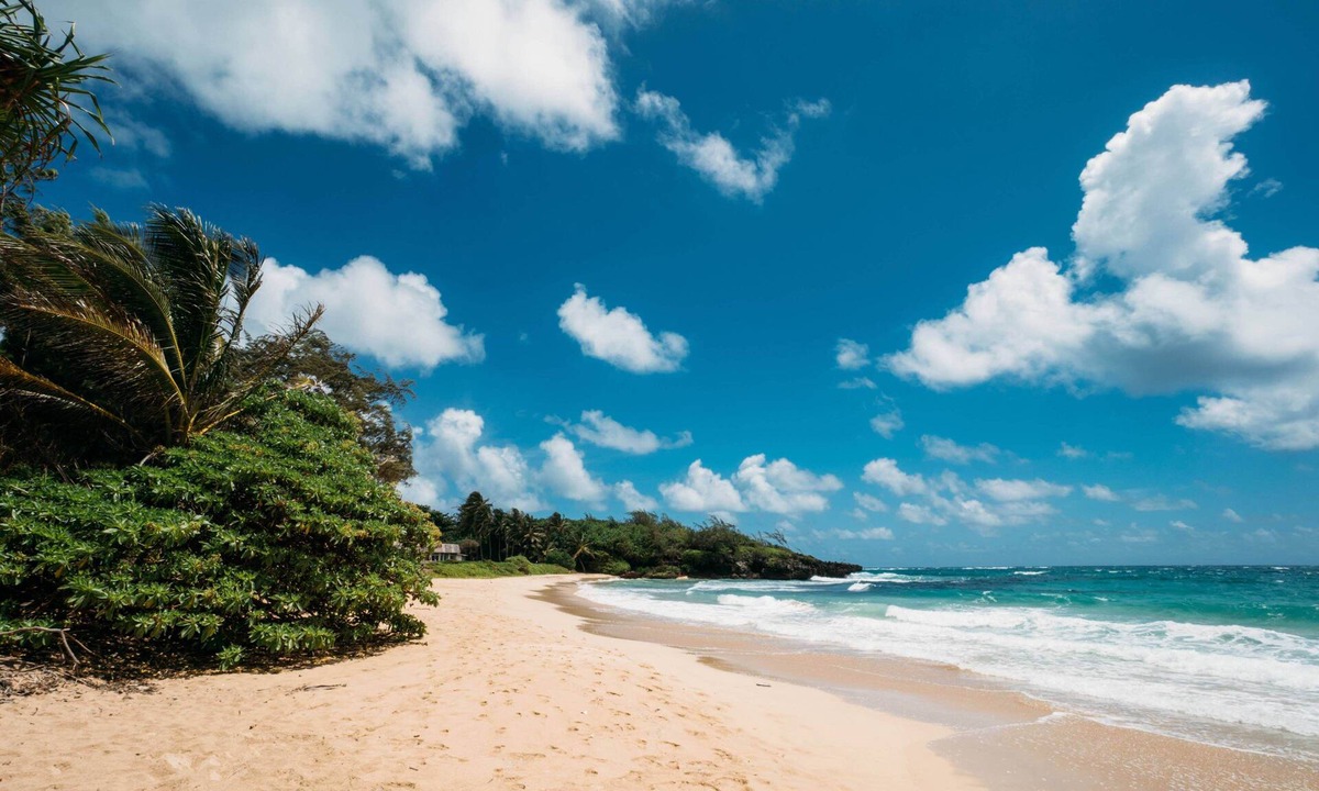 Laie House | Beachfront Private, N. Shore & Legal Vacation!