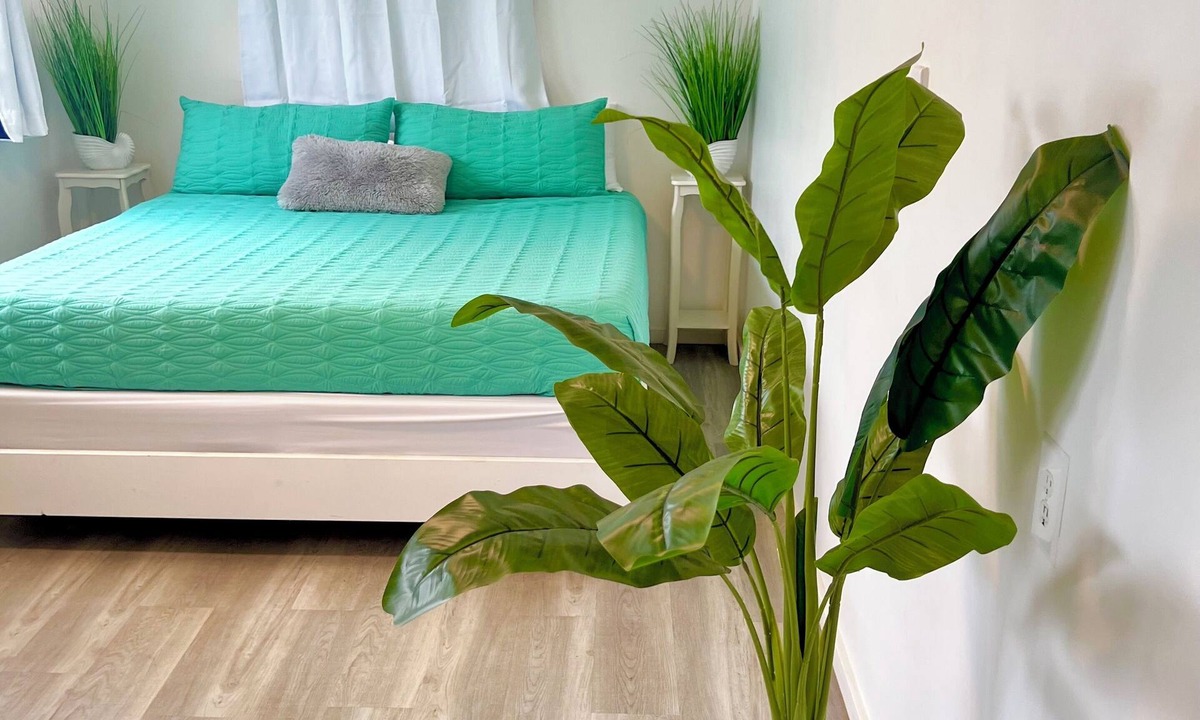 Waialua Cottage | CALL TO BOOK. AVAILABLE Beachy Hawaiian Cottage on the North Shore. 2 bed-1 bath