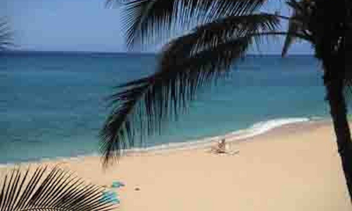 Makaha Condo | LEGAL BEACHFRONT CONDO-GREAT VIEWS!-FREE PKG/WIFI, POOL,HOT TUB,TENNIS/PICKLE 6