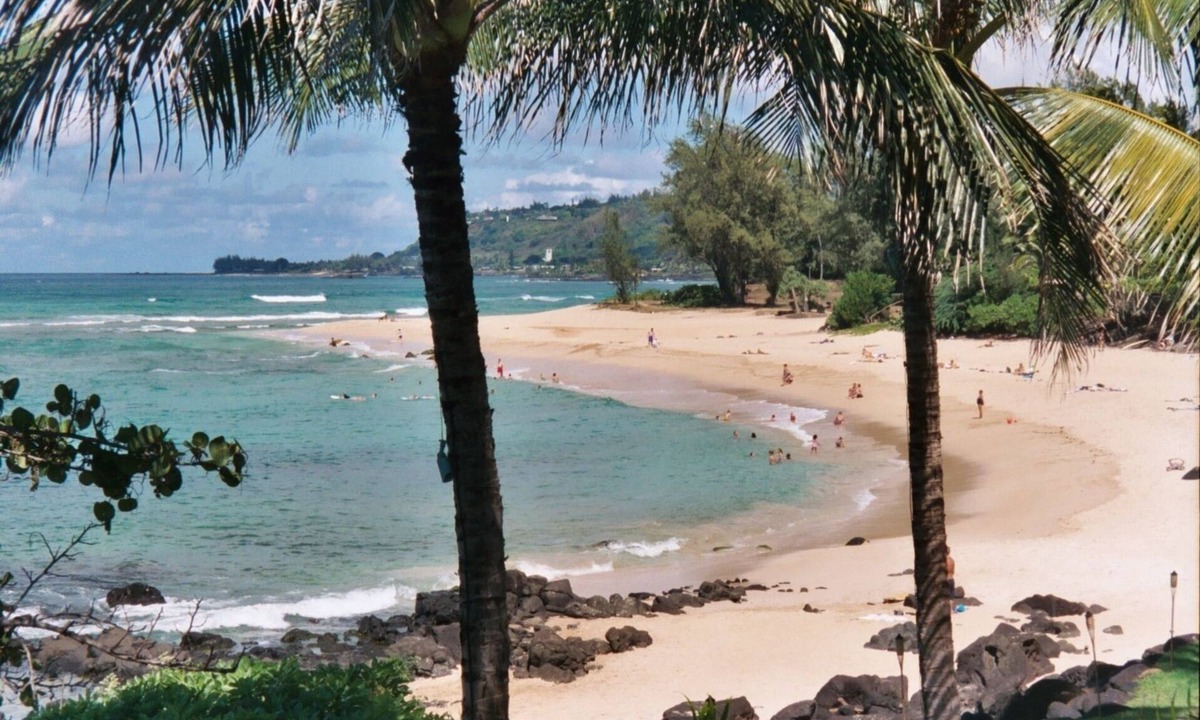Waialee House | Oceanfront Beach House - Tropical Paradise!
