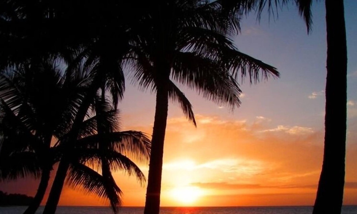 Waialua Cottage | Oceanfront Cottage! On SPECIAL May 31- June 2! Permit # 90/tvu-0631