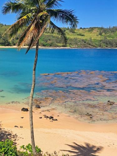 Kilauea House | Relax Unwind Private Beachfront Escape with Stunning Views, Amazing Location