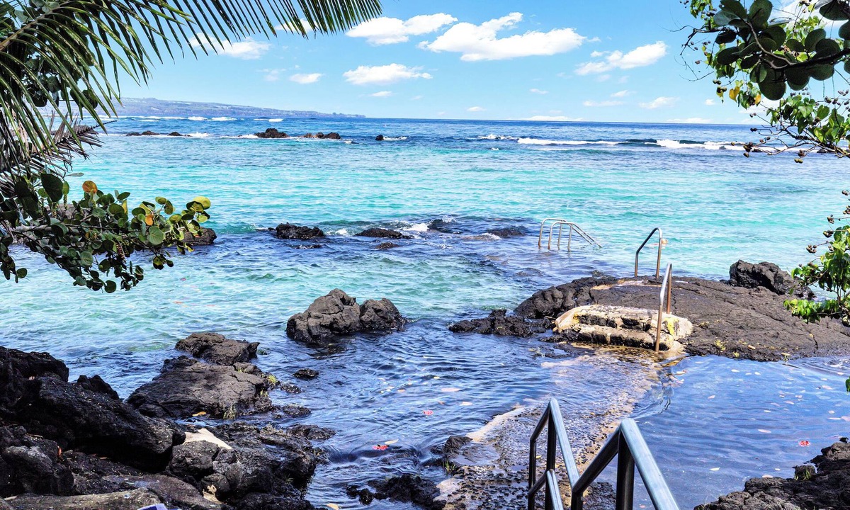 Hilo Condo | Sea Turtle Suite - Steps from Carlsmith Beach!