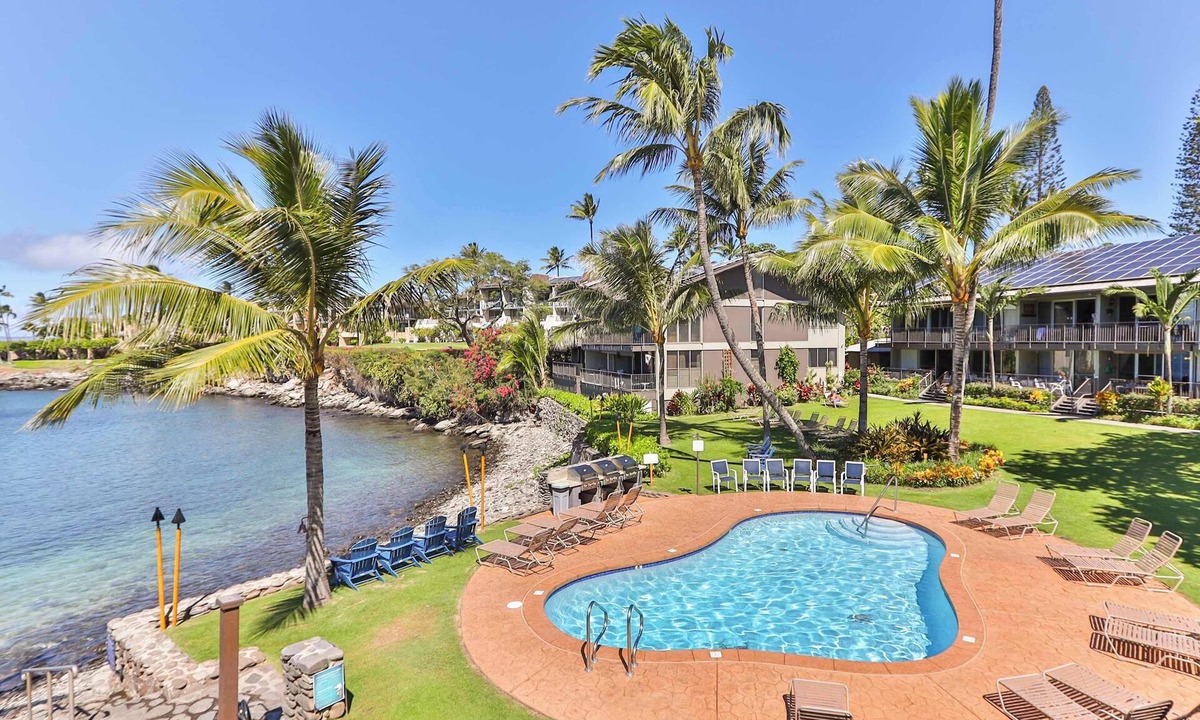 Napili House | Snorkel with sea turtles! Ocean Front & Pool!