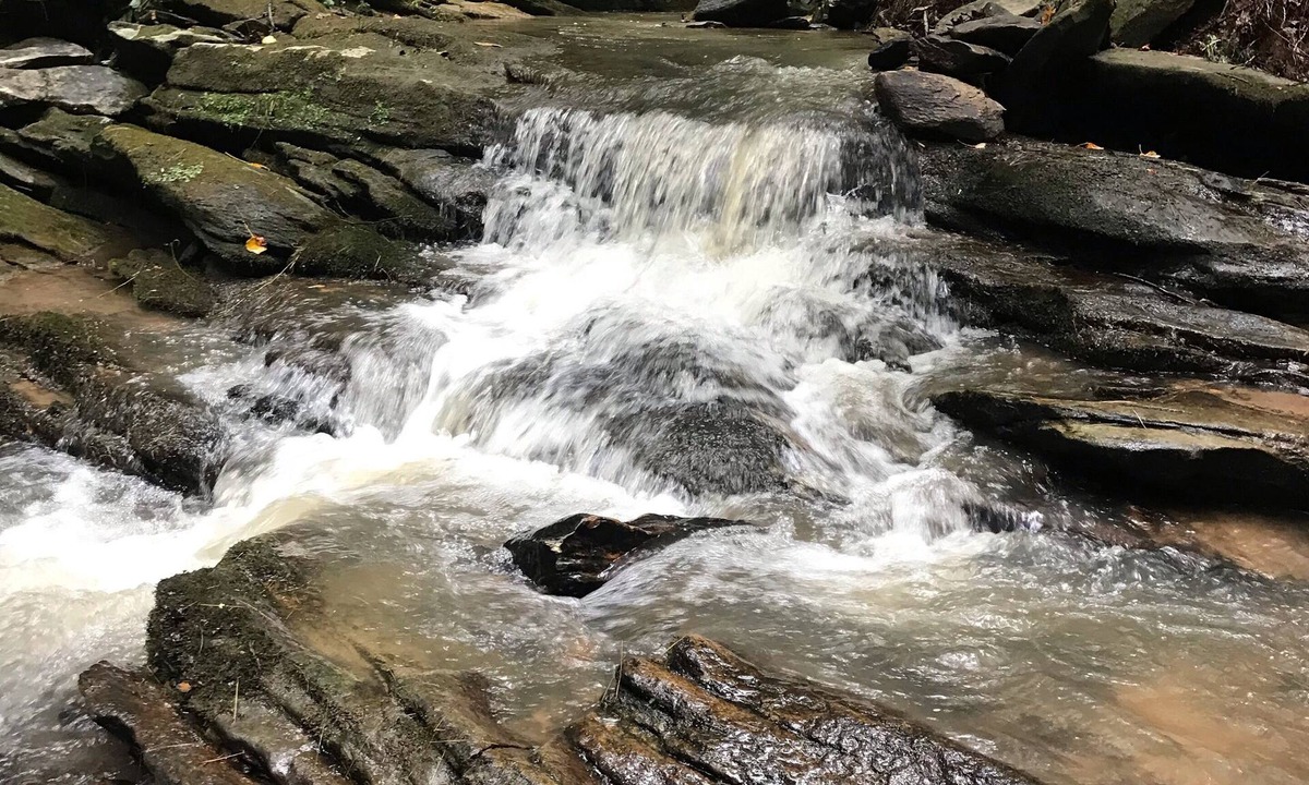 Demorest House | Summer Discount! River & creek, waterfall, hot tub, fire pit, dogs OK
