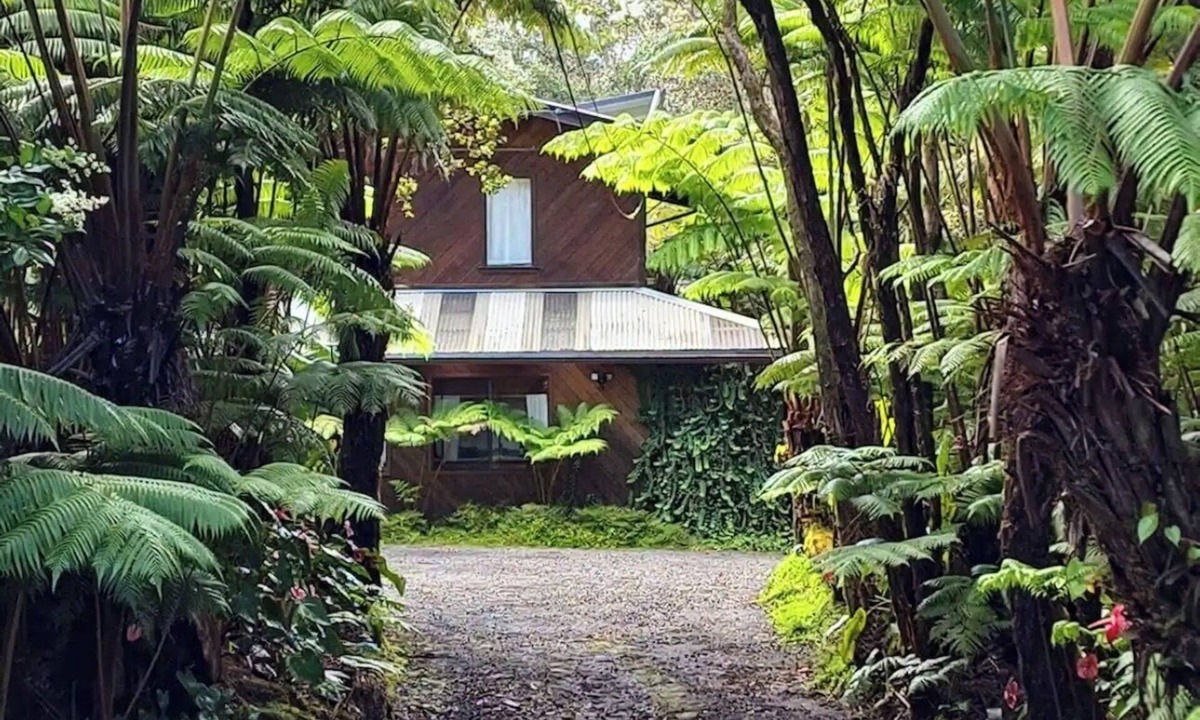 Volcano Cabin | Two peaceful cabins in marvelous Volcano, Hawaii for a relaxing stay.