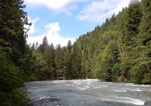 Apartment 85SW Deluxe Family Condo w/ Balcony in Mount Baker/Glacier - 4 persons, 2 bedrooms in Mount Baker/Glacier