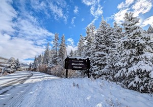 Studio, Summer Getaway | Walk to Events in Keystone