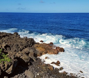 Aloha Ohia Hale 