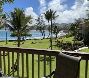 Plant Roh Kapaʻa 