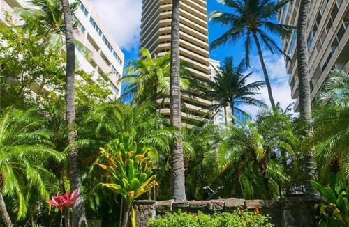 Waikiki Apartment | Absolutely Ocean View - Great Location - Legal - Free Parking