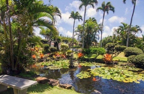 Kapaa Condo | Adorable 1-bedroom Kapaa condo w/AC on the Bike path in ocean front Pono Kai