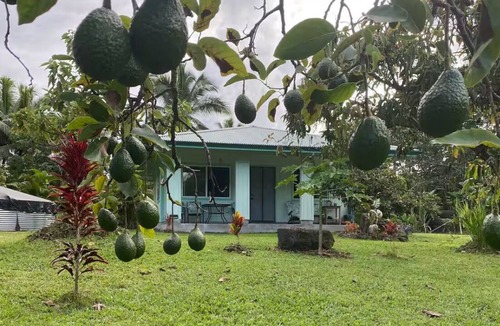 Keaau Cottage | Avocado Acre- Perfect cottage in Keaau for a relaxing getaway