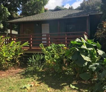 Pupukea Hotel | Backpackers Vacation Inn and Plantation Village