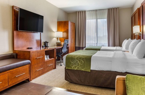 Dover Hotel | Comfort Suites Dover University Area