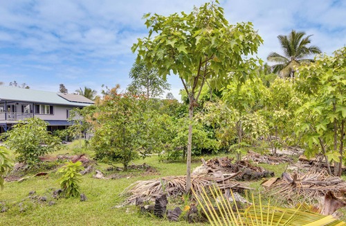 Keaau Apartment | Cozy Keaau Hideaway, 3 Mi to Shipman Beach!