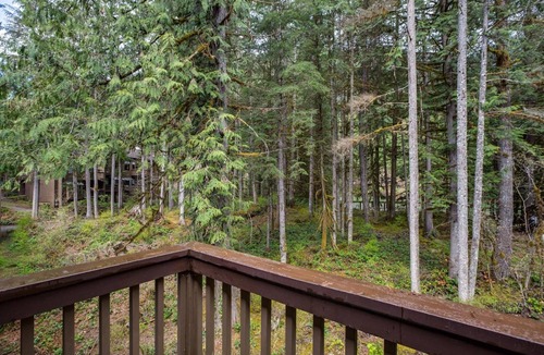 Glacier Apartment | Deluxe Condo with Great Amenities