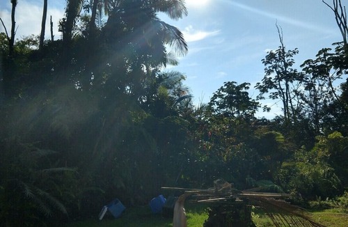Leilani Estates House | Forest Retreat, Exceptional 10/10, all 5 star, Guest Favorite