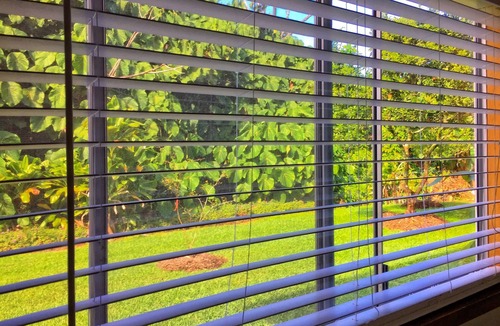 Kapoho Apartment | Hale "Hā Hā" Apartment - 3 blocks from ocean cliffs