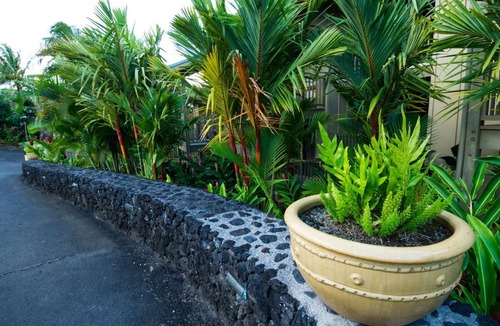 Hana Apartment | Hana Kai Maui - #201 Honokalani - oceanview 1 BR