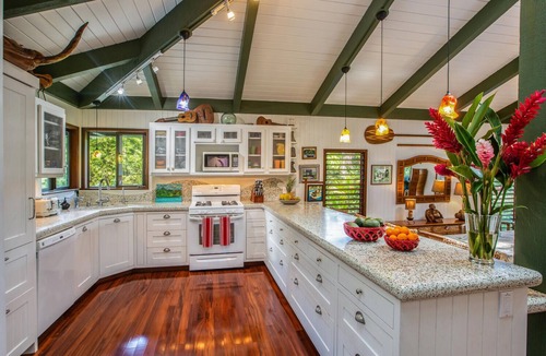 Hanalei Palms House | Hanalei Happy Place Estate TVNC#4339/1158