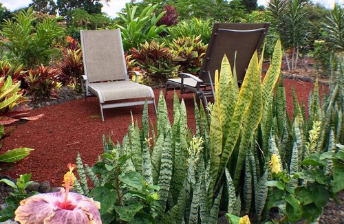 Kailua-Kona Apartment | Immaculate; Air Cond; Ocean/Garden views;GIG WiFi6 S