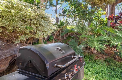 Kahana Apartment | Kahana Falls Maui Hotel Apartment with Resort Access