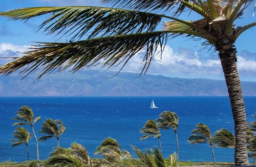 Montage Kapalua Bay Condo | Kapalua Bay Resort | Ocean View 6 BR | Car Incl. w/6+ Nights | MON ML-3818 by KBM