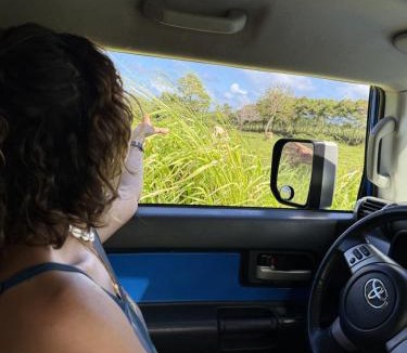Anahola Other | Kauai Adventure fully equipped FJ Cruiser Rooftop Camper