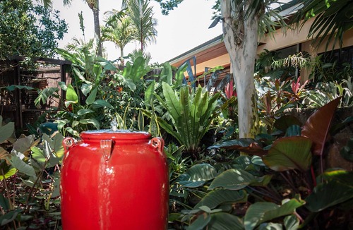 Bayview Condo | Love Nest - Luxury Studio in tropical gardens with koi ponds, waterfalls