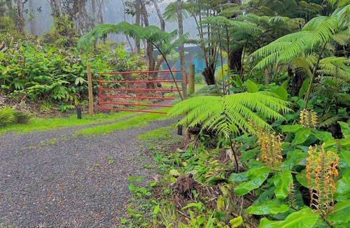 Volcano House | Lush Volcano Retreat- Hot Tub & Lava Water Feature