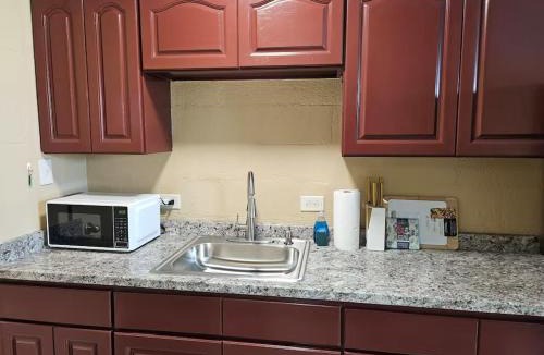 Keaukaha Apartment | Ocean View Balcony 2BR Near Beach & Downtown