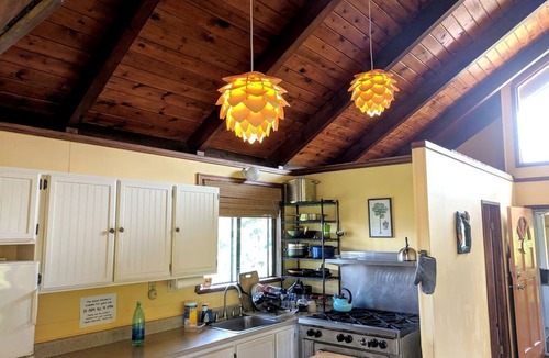 Pepeekeo Cabin | Ocean View King Rental near Akaka Falls, Hawaii