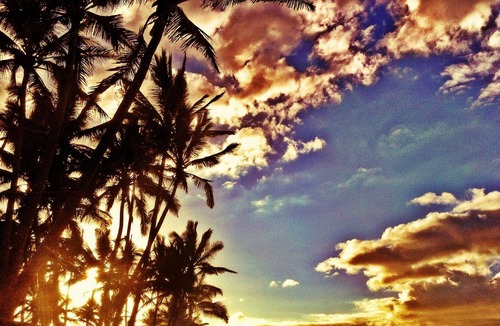 Waialua Cottage | Oceanfront Cottage! On SPECIAL May 31- June 2! Permit # 90/tvu-0631