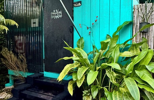 Eden Roc Cabin | Off-Grid Rainforest Sanctuary & Dog Rescue