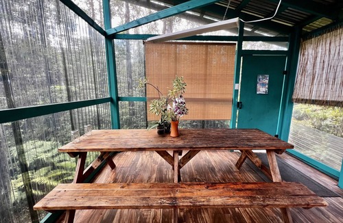 Eden Roc Cabin | Off-Grid Rainforest Sanctuary & Dog Rescue