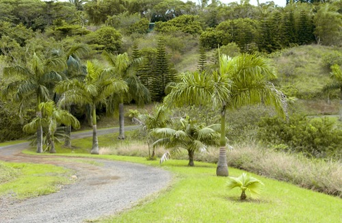 Pauwela Apartment | Peaceful Haiku Retreat Beach 10 Min & Paia 15 Min