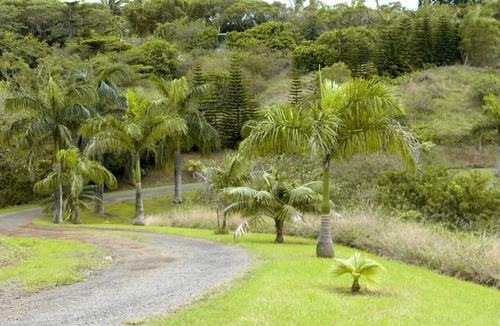 Pauwela Apartment | Peaceful Haiku Retreat Beach 10 Min & Paia 15 Min