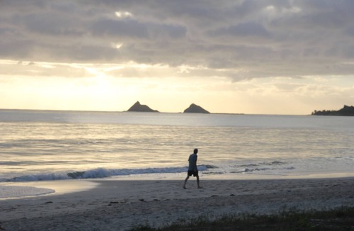 Kailua Cottage | Perfect Oasis, Steps To The Beach! 100% Solar!