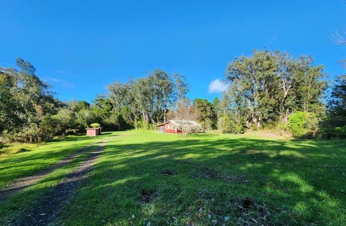 Honokaa House | Rainforest Retreat