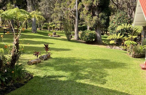 Volcano House | Serene country home in charming Volcano Village near the Volcano National Park.