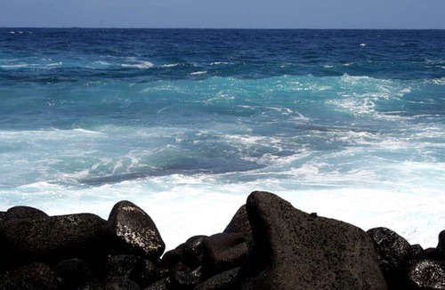 Kapoho Cabin | Sustainable Off-Grid Rental on a Farm on the Big Island of Hawaii