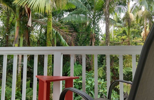 Leilani Estates House | Tropical Forest Retreat, Exceptional 10/10, all 5 star, Guest Favorite