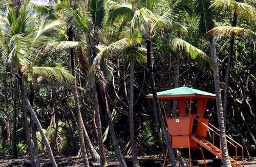 Kapoho Cabin | Unusual Cabin with 360-Degree Windows on the Big Island of Hawaii in Pahoa