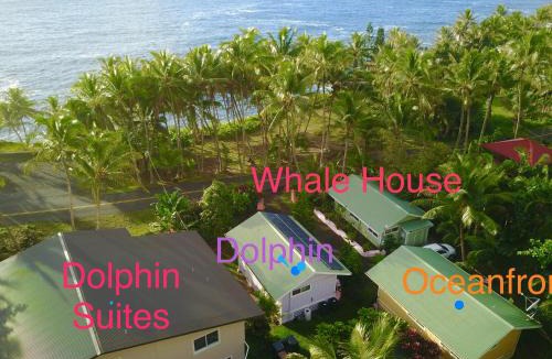 Kehena House | Whale House at Kehena Beach