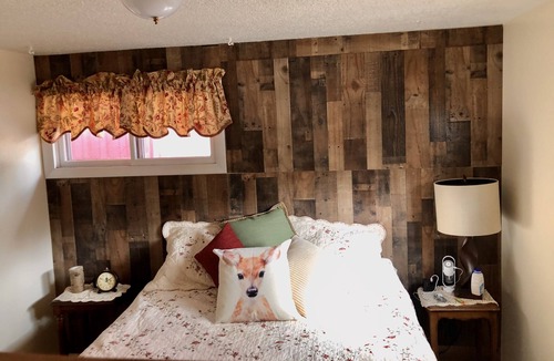 Red Feather Lakes Cabin | Wildlife and aspen trees surround the cabin cottage at Redfeather Lakes