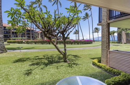 Honokowai Apartment | Your oasis by the sea, stay at B103!