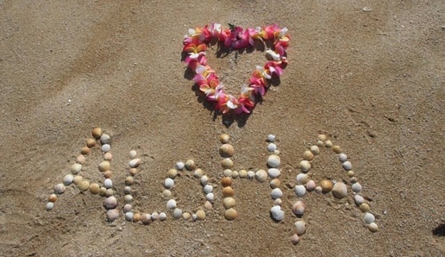 1 bedroom + loft- Sleeps up to 6. August sale: stay 3 nights&waive cleaning fee